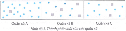 Các kí hiệu trong Hình 43.3 biểu thị các loài sinh vật khác nhau Trong sơ đồ thành 