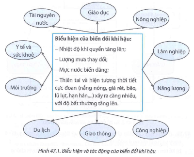 Từ các biểu hiện chủ yếu của biến đổi khí hậu hãy nêu tác động của nó đối với một số ngành và lĩnh vực chính