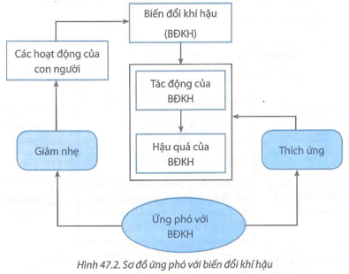 Ứng phó với biến đổi khí hậu gồm 2 nội dung Giảm nhẹ biến đổi khí hậu Can thiệp vào các hoạt động