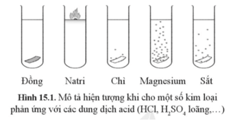 Quan sát hình 15.1, mô tả các hiện tượng thí nghiệm. Rút ra nhận xét về khả năng phản ứng của kim loại