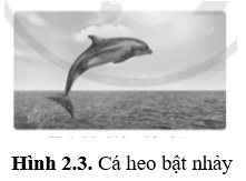 Một chú cá heo có trọng lượng 1 200 N thực hiện cú bật nhảy lên cao 1,5 m so với mặt nước