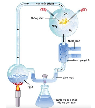 Stanley Miller và Harold Urey đã tái tạo bầu khí quyển ban đầu của Trái Đất