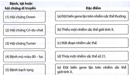 Nối tên của các bệnh, tật hoặc hội chứng di truyền ở người với nguyên nhân tương ứng