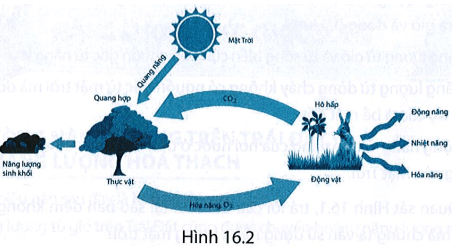 Dựa vào sơ đồ mô tả sự chuyển hoá năng lượng mặt trời thành các dạng năng lượng trên Trái Đất