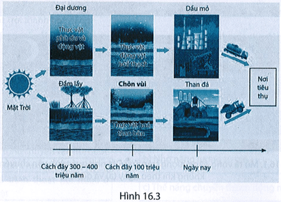 Sự hình thành dầu mỏ và than đá cũng có nguồn gốc từ năng lượng mặt trời