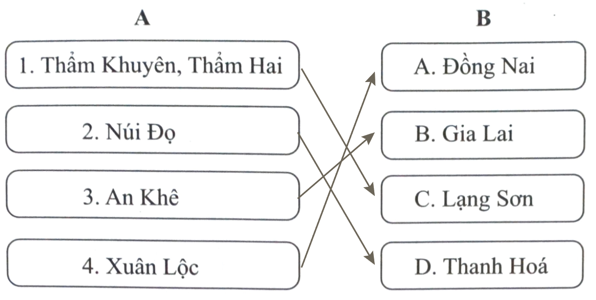 Bài 3: Nguồn gốc loài người