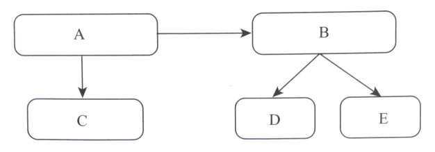 Bài 4: Xã hội nguyên thủy