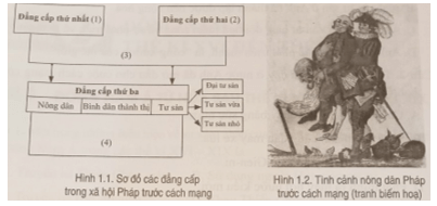 Quan sát hình 1.2 và dựa vào kiến thức đã học hãy chọn các cụm từ cho sẵn sau đây