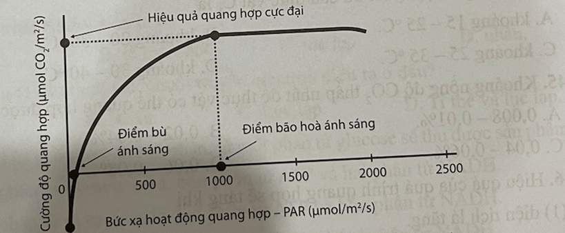 Quan sát hình sau, kết hợp với kiến thức đã học và cho biết