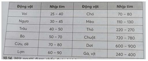 Bảng sau đây cho biết nhịp tim (nhịp/phút) ở một số loài động vật