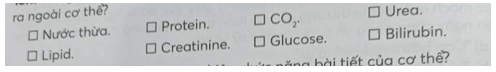 Trong điều kiện bình thường các chất nào sau đây được cơ thể bài tiết ra ngoài cơ thể?