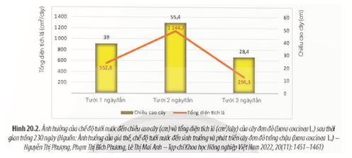 Dựa vào Hình 20.2 (SGK, trang 133) nếu lấy số liệu khi tưới 1 ngày/lần làm chuẩn