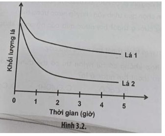 Trong một thí nghiệm người ta sử dụng lá của hai loài khác nhau với diện tích bề mặt