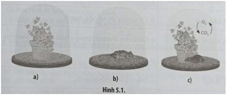 Một nhà khoa học đã tiến hành một thí nghiệm được mô tả như Hình 5.1