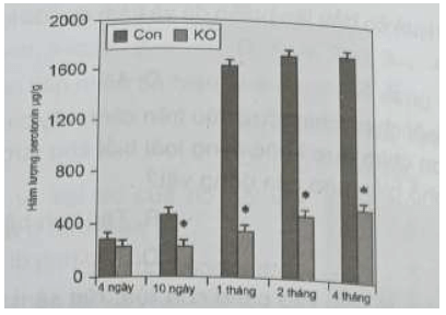 Biểu đồ cho thấy hàm lượng serotonin trên hai nhóm chuột