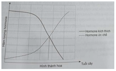 Phân biệt kiểu tương quan chung và tương quan riêng giữa các hormone thực vật