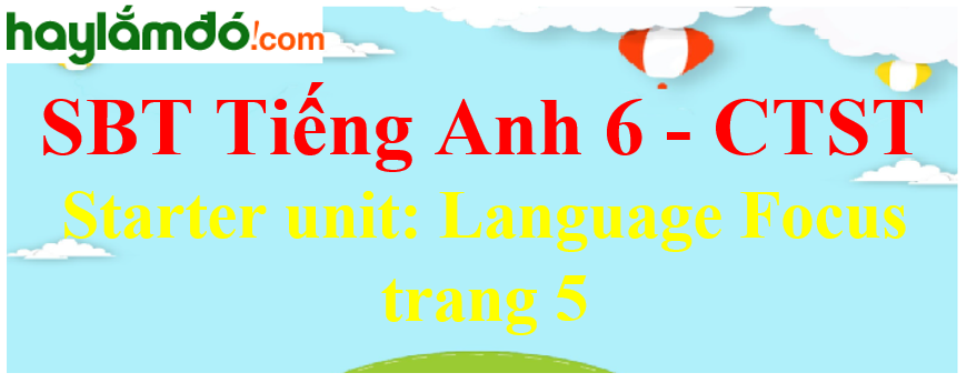 Giải sách bài tập Tiếng Anh 6 trang 5 Starter unit: Language focus - Chân trời sáng tạo