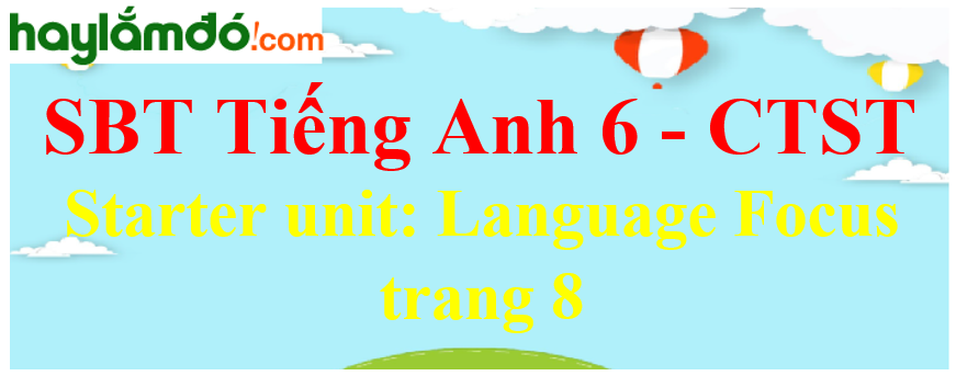 Giải sách bài tập Tiếng Anh 6 trang 8 Starter unit: Language focus - Chân trời sáng tạo