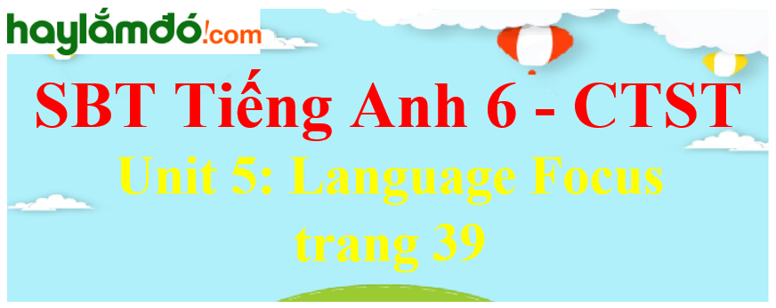 Giải sách bài tập Tiếng Anh 6 trang 39 Unit 5: Language Focus - Chân trời sáng tạo