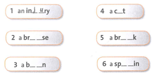 SBT Tiếng Anh 9 trang 52 Unit 8 Vocabulary and Listening | Friends plus