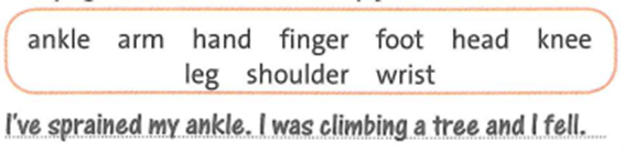 SBT Tiếng Anh 9 trang 52 Unit 8 Vocabulary and Listening | Friends plus