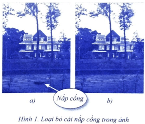 Em hãy lựa chọn theo ý thích của mình một ảnh chứa đối tượng