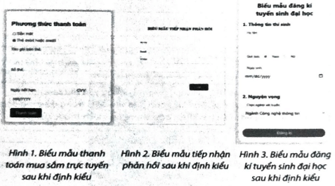 Em hãy định kiểu cho biểu mẫu đăng kí tuyển sinh trong Bài F5.4 như Hình 3