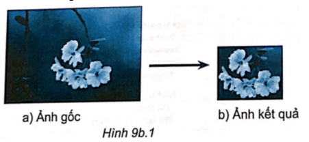 Quan sát Hình 9b.1 và cho biết ảnh đã được xử lí bằng cách nào