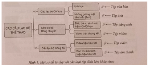 Hãy sử dụng phần mềm tạo sơ đồ tư duy để trình bày thông tin