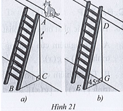 Để leo lên một bức tường, bác Dũng dùng một chiếc thang cao hơn bức tường đó 2m