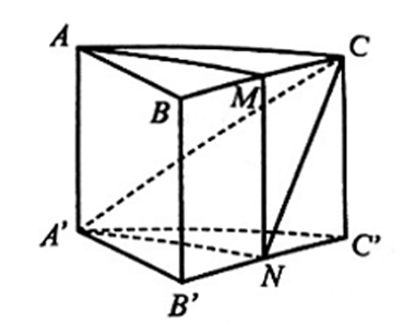 Cho hình lăng trụ tam giác ABC.A'B'C'. Gọi M, N lần lượt là trung điểm của BC, B'C'