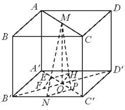 Cho hình lập phương ABCD A'B'C'D' cạnh a Gọi M N lần lượt là trung điểm của AC và  B'C'