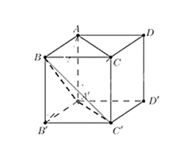 Cho hình lập phương ABCD.A'B'C'D' có cạnh bằng a