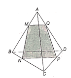 Cho tứ diện ABCD. Gọi M, N, P lần lượt là các điểm thuộc các cạnh AB, BC, CD