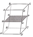 Cho hình hộp ABCD.A'B'C'D'. Gọi M, N, P, Q lần lượt là trung điểm của các cạnh AA', BB', CC', DD'