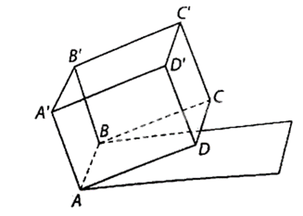 Một bể chứa nước hình hộp chữ nhật ABCD.A'B'C'D' được đặt trên một mái nhà