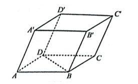 Cho hình hộp ABCD.A'B'C'D'. Chỉ ra các vectơ có điểm đầu là B và điểm cuối là các đỉnh