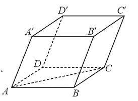 Cho hình hộp ABCD.A'B'C'D' có A(2; 0; 2), B(4; 2; 4), D(2; −2; 2), C' (8; 10; −10)