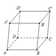 Cho hình hộp ABCD.A'B'C'D' trang 44 SBT Toán 12 Tập 1