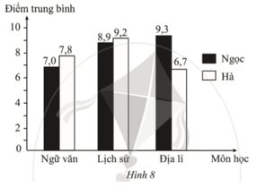 Kết quả tổng kết cuối học kì II các môn Ngữ văn, Lịch sử, Địa lí của hai học sinh lớp 6 (ảnh 2)