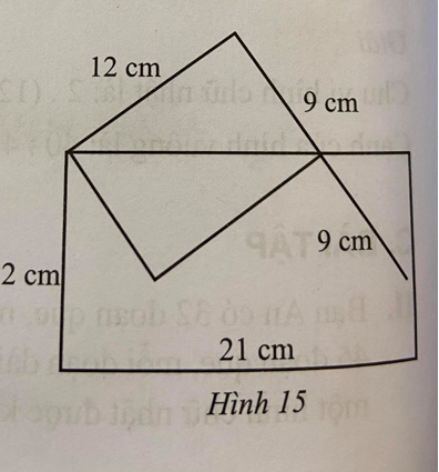 Sách bài tập Toán lớp 6 Bài 2: Hình chữ nhật. Hình thoi | SBT Toán 6 Cánh diều Giải SBT Toán 6