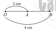 Quan sát Hình 24 và đọc tên trung điểm của đoạn thẳng (ảnh 2)