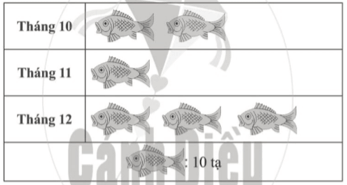 Một cửa hàng thủy sản thống kê khối lượng cá chép được trong Quý IV năm 2020 (ảnh 1)