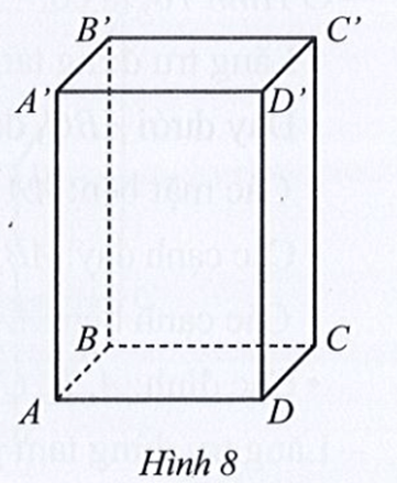 Cho hình hộp chữ nhật ABCD.A'B'C'D' (Hình 8). Diện tích của các mặt ABCD, BB'C'C và CC'D'D