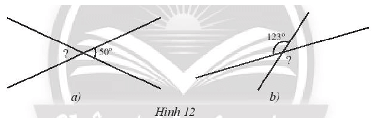 Sách bài tập Toán 7 Chân trời sáng tạo Bài 1: Các góc ở vị trí đặc biệt | Giải SBT Toán 7 (ảnh 2)