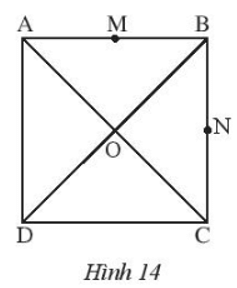 Cho hình vuông ABCD có tâm O và cho M, N lần lượt là trung điểm của cạnh AB và BC