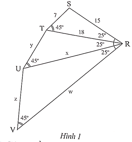 Cho Hình 1. Tính x, y, z, w