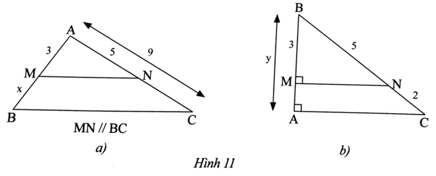 Tính các độ dài x, y trong Hình 11