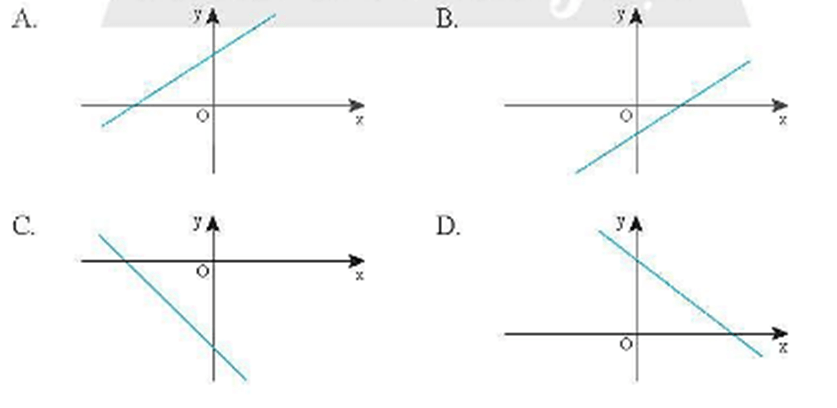 Đồ thị của hàm số y = x/4 + 4 có dạng giống với đồ thị nào