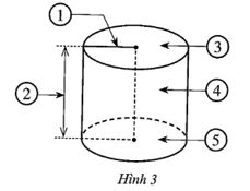 Quan sát hình trụ ở Hình 3 và nêu tên gọi thích hợp cho các vị trí được đánh số